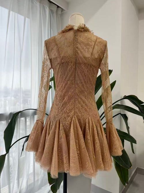Champagne gold lace dress